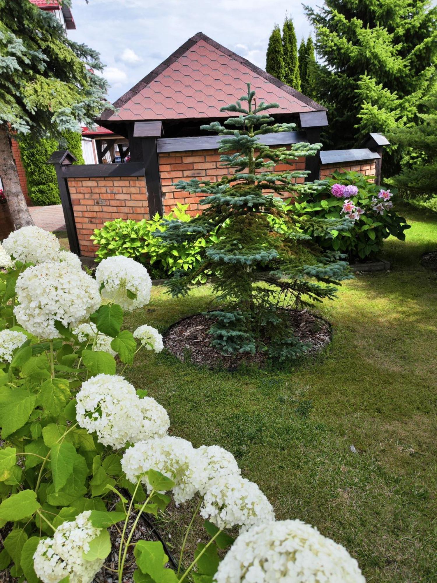 Michalek W Rowach Bed and Breakfast Rowy  Eksteriør billede