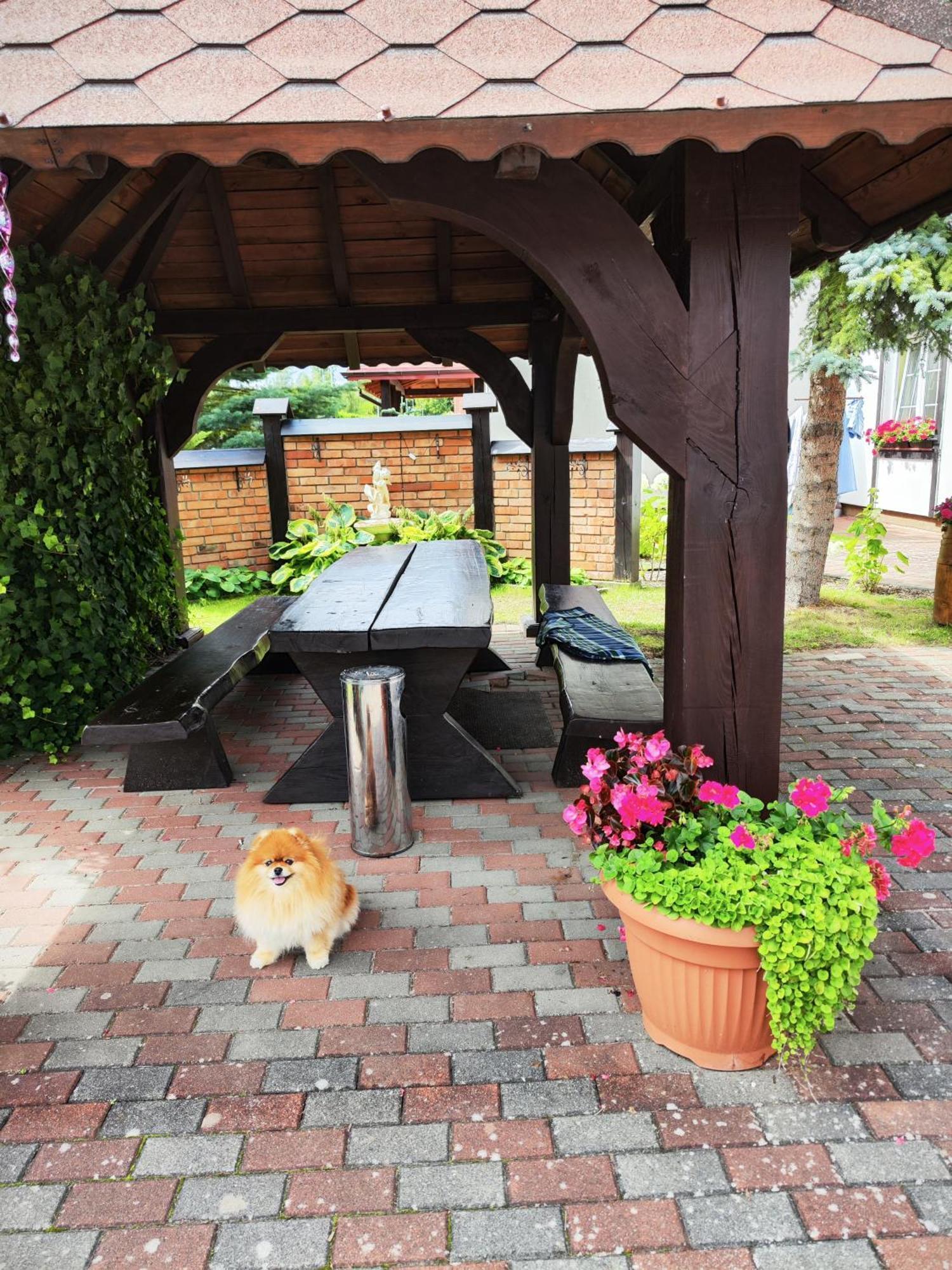 Michalek W Rowach Bed and Breakfast Rowy  Eksteriør billede